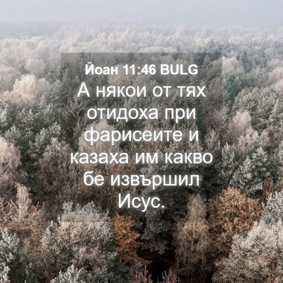 Picture 04 - Йоан 11:46 BULG - А някои от тях отидоха при - Bible Verse Picture