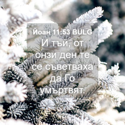 Picture 04 - Йоан 11:53 BULG - И тъй, от онзи ден те се - Bible Verse Picture