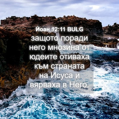 Picture 04 - Йоан 12:11 BULG - защото поради него мнозина - Bible Verse Picture