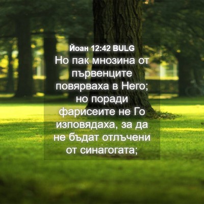 Picture 04 - Йоан 12:42 BULG - Но пак мнозина от - Bible Verse Picture
