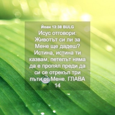 Picture 04 - Йоан 13:38 BULG - Исус отговори: Животът си - Bible Verse Picture