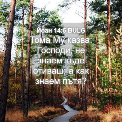 Picture 04 - Йоан 14:5 BULG - Тома Му казва: Господи, не - Bible Verse Picture