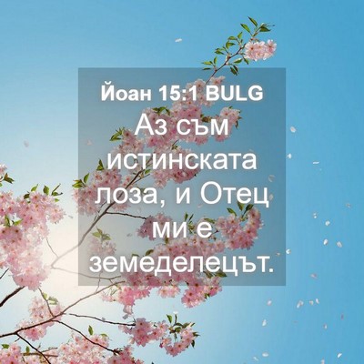 Picture 04 - Йоан 15:1 BULG - Аз съм истинската лоза, и - Bible Verse Picture