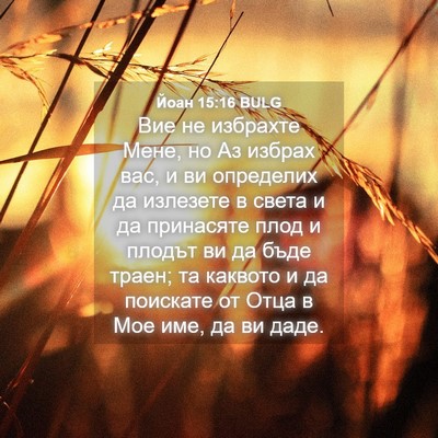 Picture 04 - Йоан 15:16 BULG - Вие не избрахте Мене, но Аз - Bible Verse Picture
