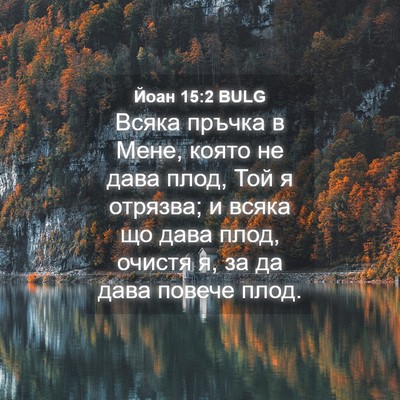 Picture 04 - Йоан 15:2 BULG - Всяка пръчка в Мене, която - Bible Verse Picture