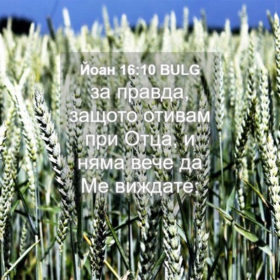 Picture 04 - Йоан 16:10 BULG - за правда, защото отивам - Bible Verse Picture
