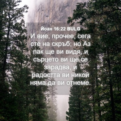 Picture 04 - Йоан 16:22 BULG - И вие, прочее, сега сте на - Bible Verse Picture
