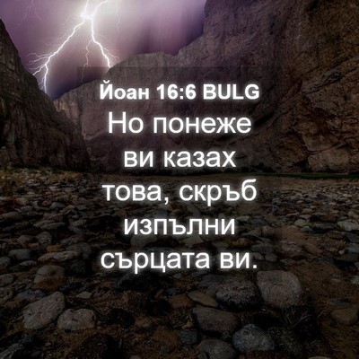 Picture 04 - Йоан 16:6 BULG - Но понеже ви казах това, - Bible Verse Picture