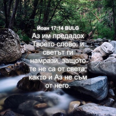 Picture 04 - Йоан 17:14 BULG - Аз им предадох Твоето - Bible Verse Picture