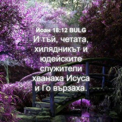Picture 04 - Йоан 18:12 BULG - И тъй, четата, хилядникът и - Bible Verse Picture