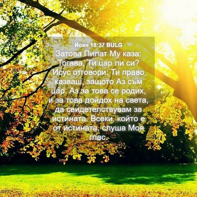 Picture 04 - Йоан 18:37 BULG - Затова Пилат Му каза: - Bible Verse Picture