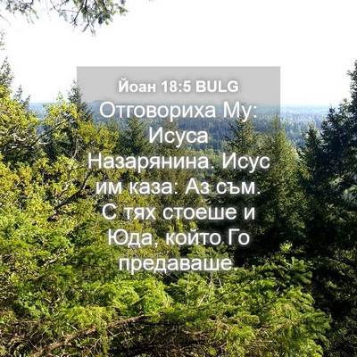 Picture 04 - Йоан 18:5 BULG - Отговориха Му: Исуса - Bible Verse Picture