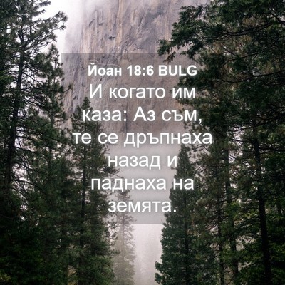 Picture 04 - Йоан 18:6 BULG - И когато им каза: Аз съм, те - Bible Verse Picture