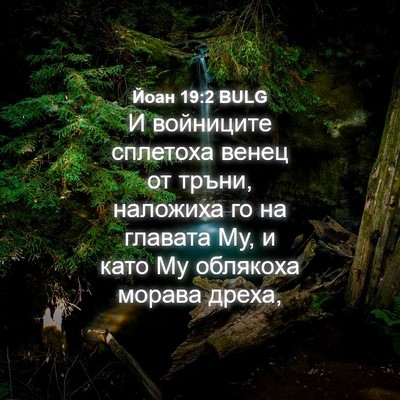 Picture 04 - Йоан 19:2 BULG - И войниците сплетоха венец - Bible Verse Picture