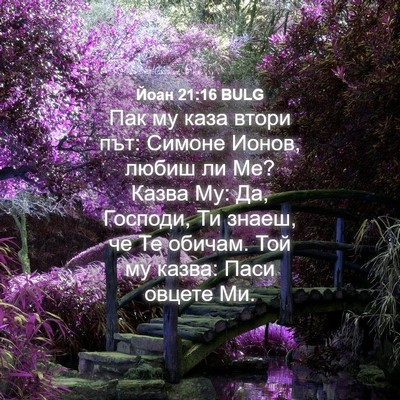 Picture 04 - Йоан 21:16 BULG - Пак му каза втори път: - Bible Verse Picture