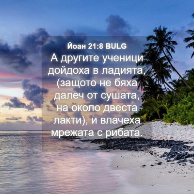 Picture 04 - Йоан 21:8 BULG - А другите ученици дойдоха - Bible Verse Picture