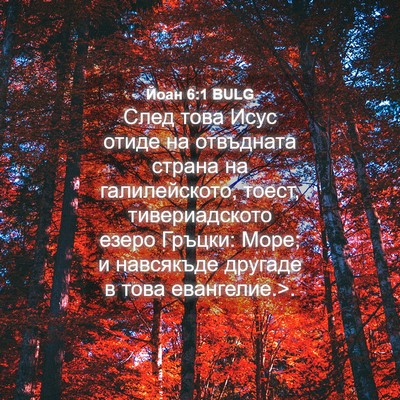 Picture 04 - Йоан 6:1 BULG - След това Исус отиде на - Bible Verse Picture