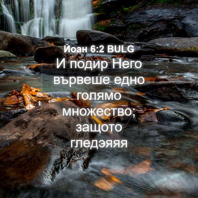 Picture 04 - Йоан 6:2 BULG - И подир Него вървеше едно - Bible Verse Picture