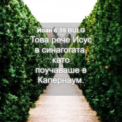 Picture 04 - Йоан 6:59 BULG - Това рече Исус в - Bible Verse Picture