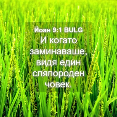 Picture 04 - Йоан 9:1 BULG - И когато заминаваше, видя - Bible Verse Picture