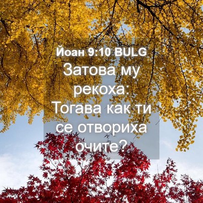 Picture 04 - Йоан 9:10 BULG - Затова му рекоха: Тогава - Bible Verse Picture