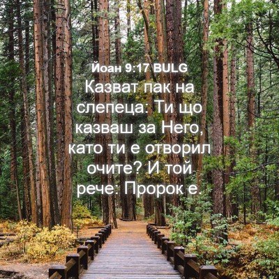 Picture 04 - Йоан 9:17 BULG - Казват пак на слепеца: Ти - Bible Verse Picture
