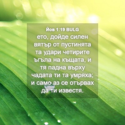 Picture 04 - Йов 1:19 BULG - ето, дойде силен вятър от - Bible Verse Picture