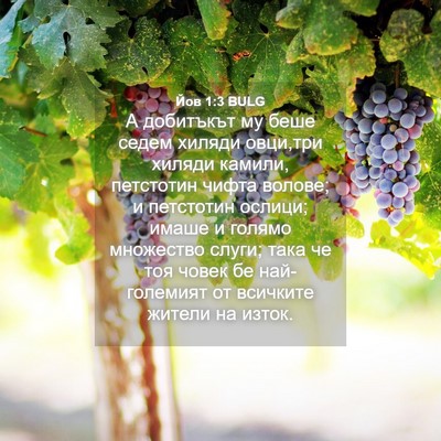 Picture 04 - Йов 1:3 BULG - А добитъкът му беше седем - Bible Verse Picture