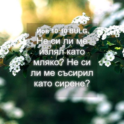 Picture 04 - Йов 10:10 BULG - Не си ли ме излял като - Bible Verse Picture