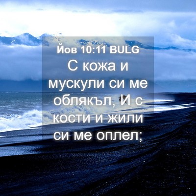 Picture 04 - Йов 10:11 BULG - С кожа и мускули си ме - Bible Verse Picture