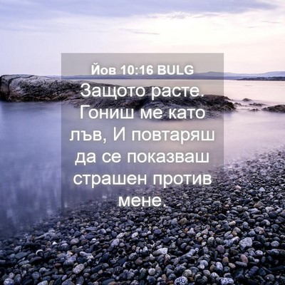 Picture 04 - Йов 10:16 BULG - Защото расте. Гониш ме като - Bible Verse Picture