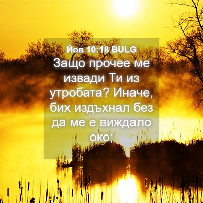 Picture 04 - Йов 10:18 BULG - Защо прочее ме извади Ти из - Bible Verse Picture