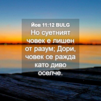 Picture 04 - Йов 11:12 BULG - Но суетният човек е лишен - Bible Verse Picture