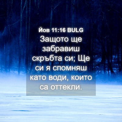 Picture 04 - Йов 11:16 BULG - Защото ще забравиш скръбта - Bible Verse Picture