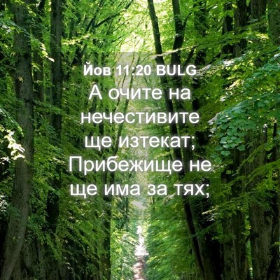 Picture 04 - Йов 11:20 BULG - А очите на нечестивите ще - Bible Verse Picture