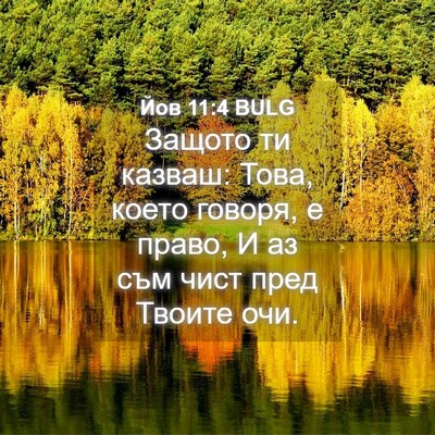 Picture 04 - Йов 11:4 BULG - Защото ти казваш: Това, - Bible Verse Picture