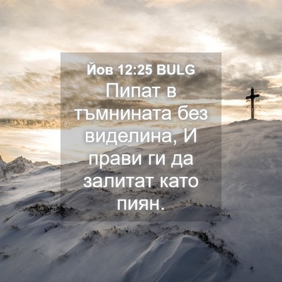 Picture 04 - Йов 12:25 BULG - Пипат в тъмнината без - Bible Verse Picture