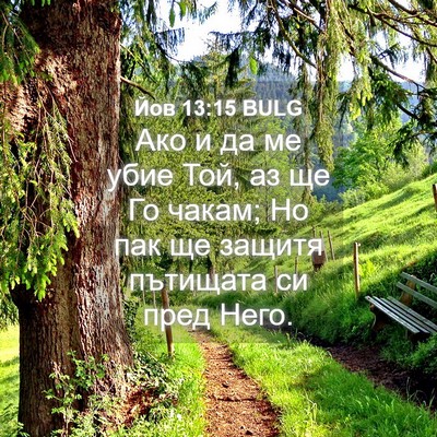 Picture 04 - Йов 13:15 BULG - Ако и да ме убие Той, аз ще - Bible Verse Picture