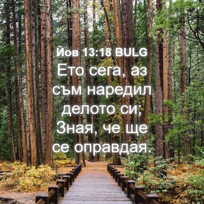 Picture 04 - Йов 13:18 BULG - Ето сега, аз съм наредил - Bible Verse Picture