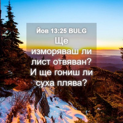 Picture 04 - Йов 13:25 BULG - Ще изморяваш ли лист - Bible Verse Picture