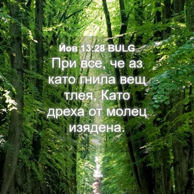 Picture 04 - Йов 13:28 BULG - При все, че аз като гнила - Bible Verse Picture