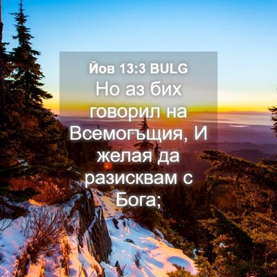 Picture 04 - Йов 13:3 BULG - Но аз бих говорил на - Bible Verse Picture