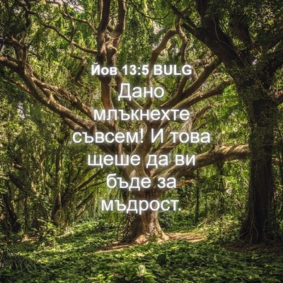 Picture 04 - Йов 13:5 BULG - Дано млъкнехте съвсем! И - Bible Verse Picture