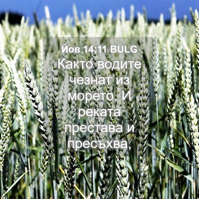 Picture 04 - Йов 14:11 BULG - Както водите чезнат из - Bible Verse Picture