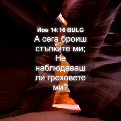 Picture 04 - Йов 14:16 BULG - А сега броиш стъпките ми; - Bible Verse Picture