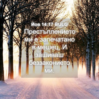Picture 04 - Йов 14:17 BULG - Престъплението ми е - Bible Verse Picture