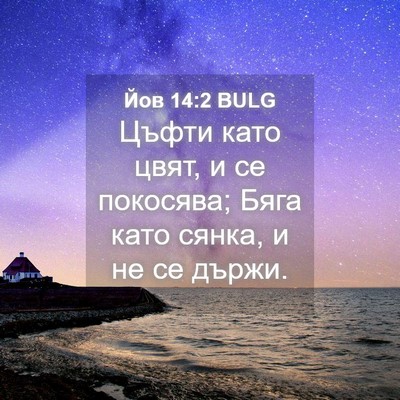 Picture 04 - Йов 14:2 BULG - Цъфти като цвят, и се - Bible Verse Picture