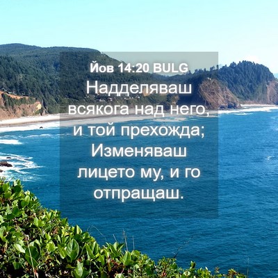 Picture 04 - Йов 14:20 BULG - Надделяваш всякога над - Bible Verse Picture