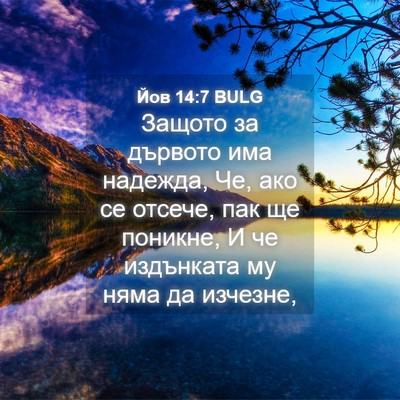 Picture 04 - Йов 14:7 BULG - Защото за дървото има - Bible Verse Picture