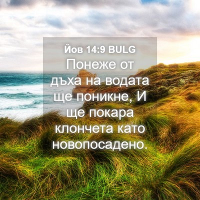 Picture 04 - Йов 14:9 BULG - Понеже от дъха на водата ще - Bible Verse Picture